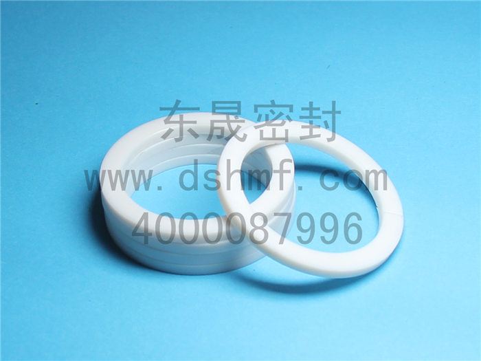 PTFE，墊片，密封件產品