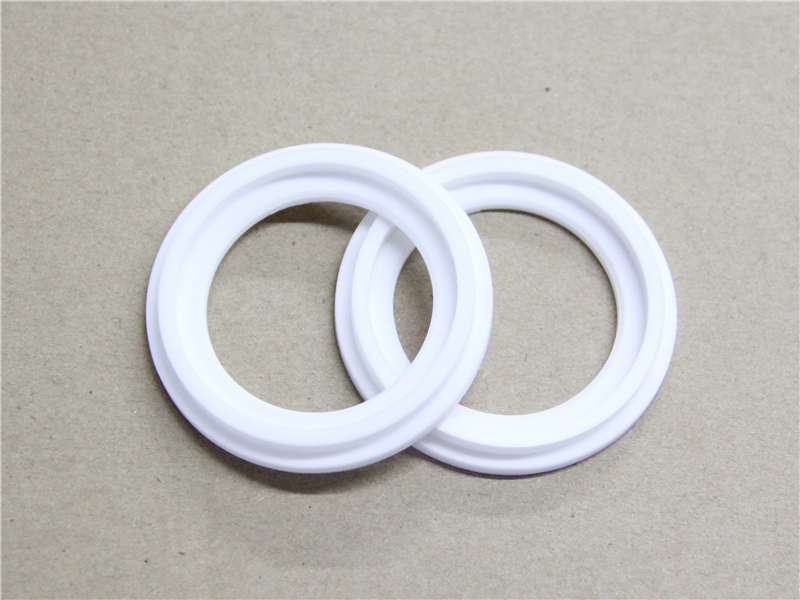 硬密封件，陶瓷密封件，產(chǎn)品