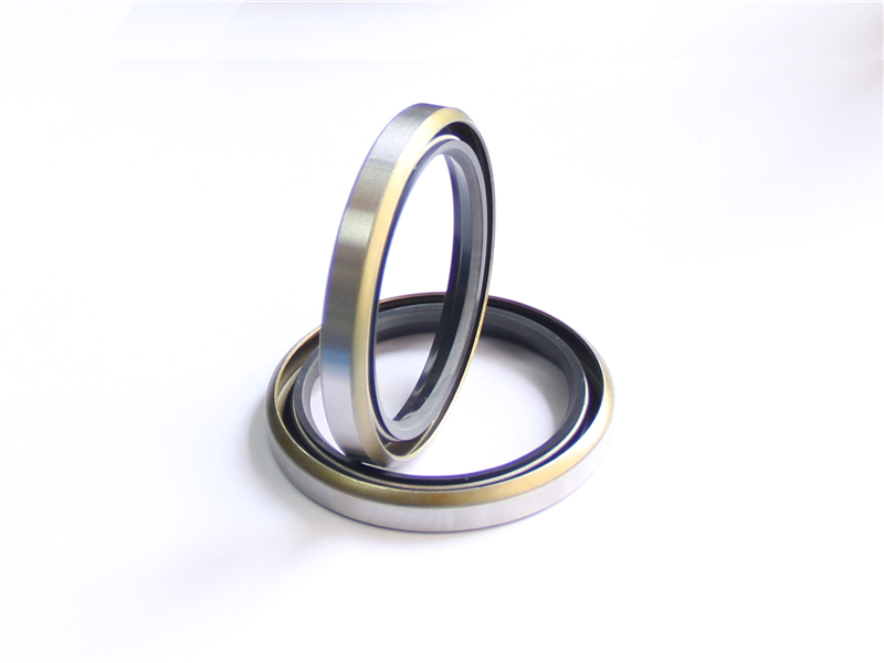 油封，浮動(dòng)，密封件，產(chǎn)品