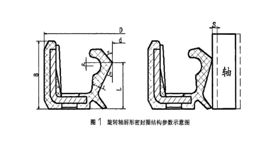 旋轉(zhuǎn)軸唇形油封密封圈的結構參數(shù)示意圖
