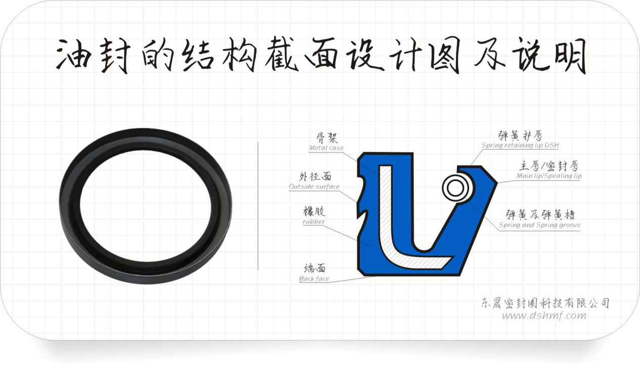 骨架油封的密封件結(jié)構(gòu)各位術(shù)語(yǔ)介紹圖