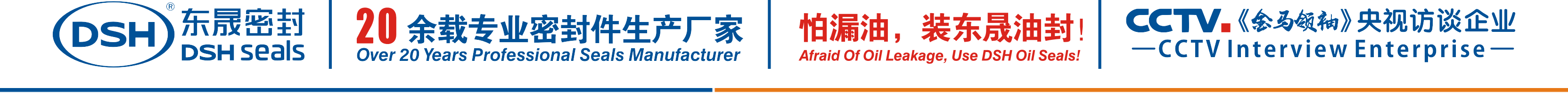 怕漏油，裝東晟油封！