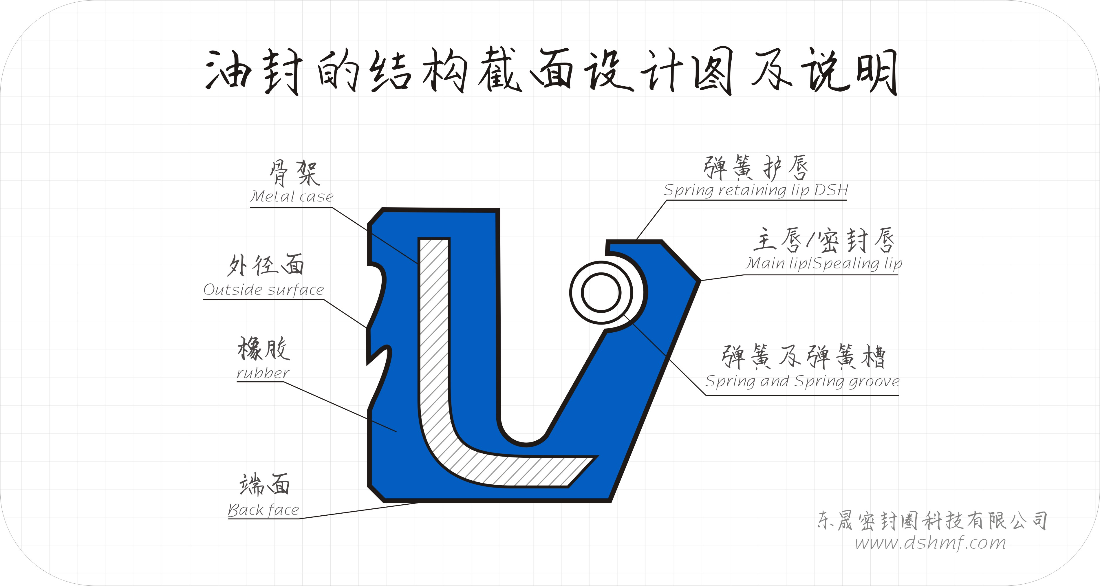 油封的結(jié)構(gòu)截面設(shè)計圖及說明1
