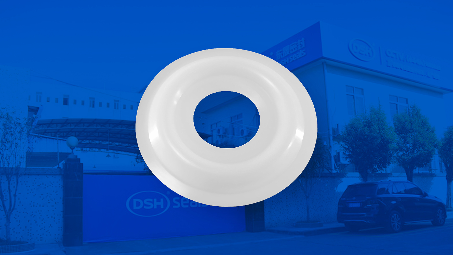 米頓羅計(jì)量泵膜片 （又叫隔膜、密封件、密封圈、油封） (2)