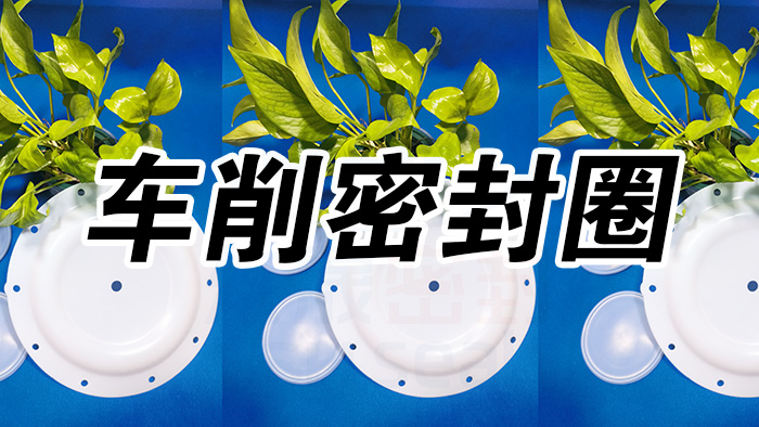 2車削密封圈，氣動隔膜泵膜片密封件
