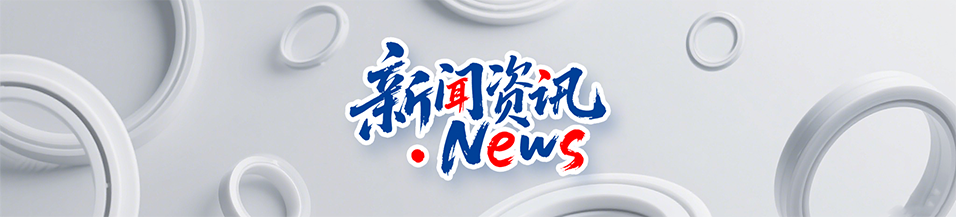 食品級(jí)唇型密封圈的材質(zhì)選擇與認(rèn)證標(biāo)準(zhǔn)！