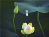 立夏已至，萬(wàn)物向陽(yáng)；